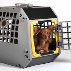 Liten hundbur till bilden