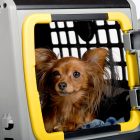 Mindre hundbur till bilen